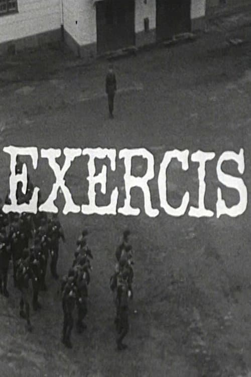 Poster for Exercis