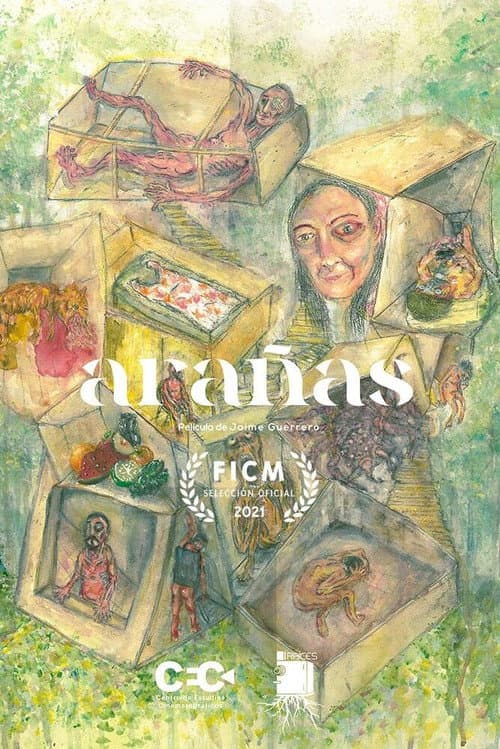 Poster for Arañas