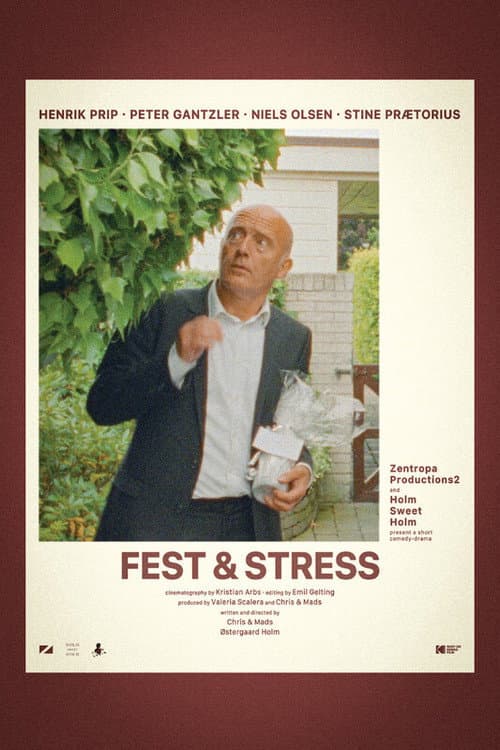 Poster for Fest & Stress