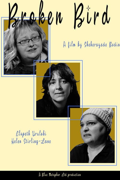 Poster for Broken Bird