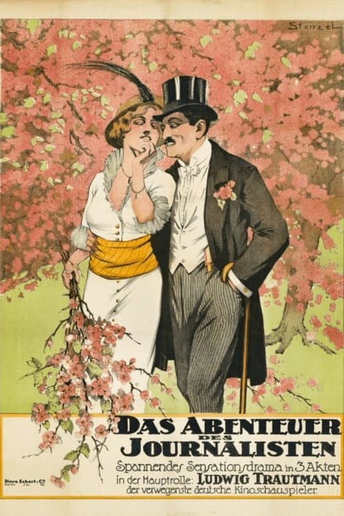 Poster for The Adventure of a Journalist