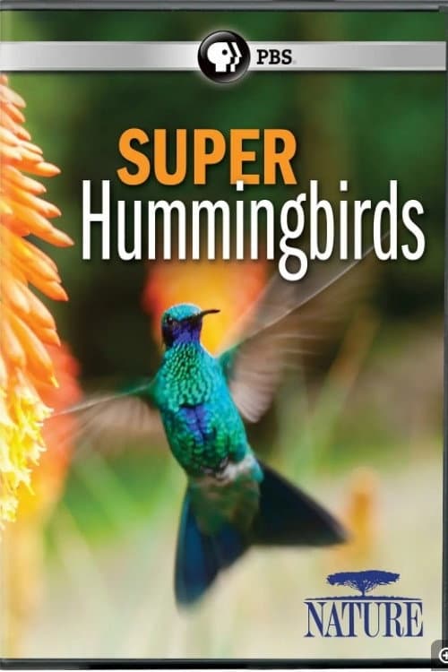 Poster for Super Hummingbirds