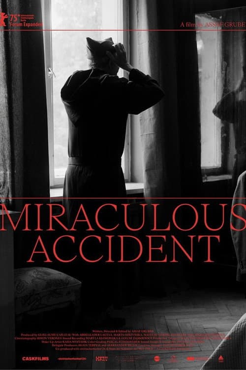 Poster for Miraculous Accident