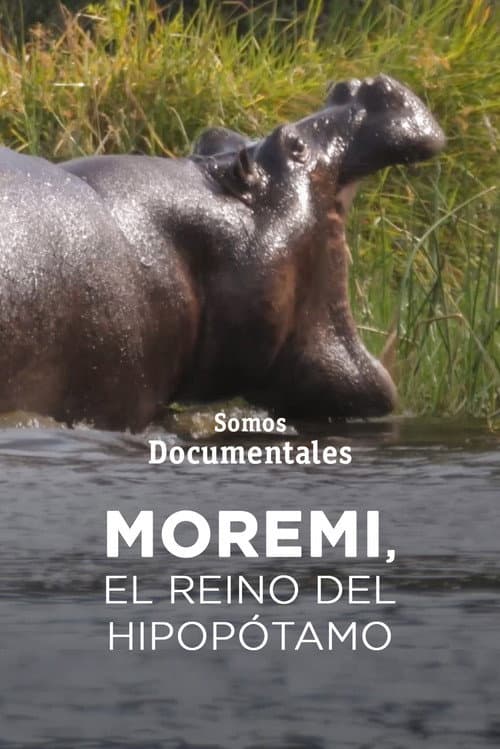 Poster for Moremi, el reino del hipopótamo