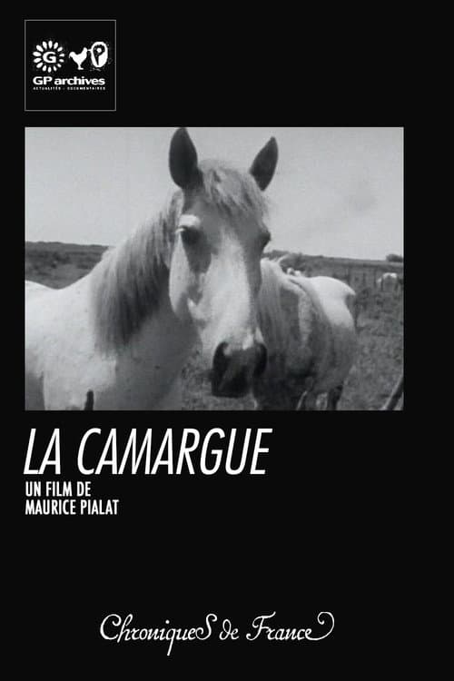 Poster for La Camargue