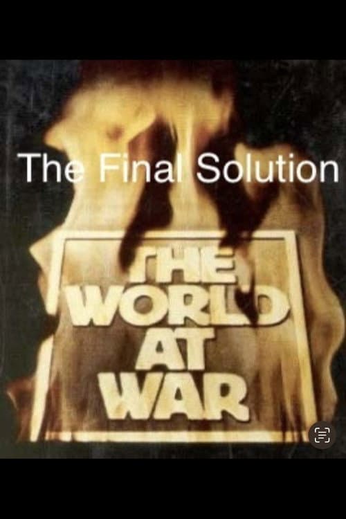 Poster for The Final Solution