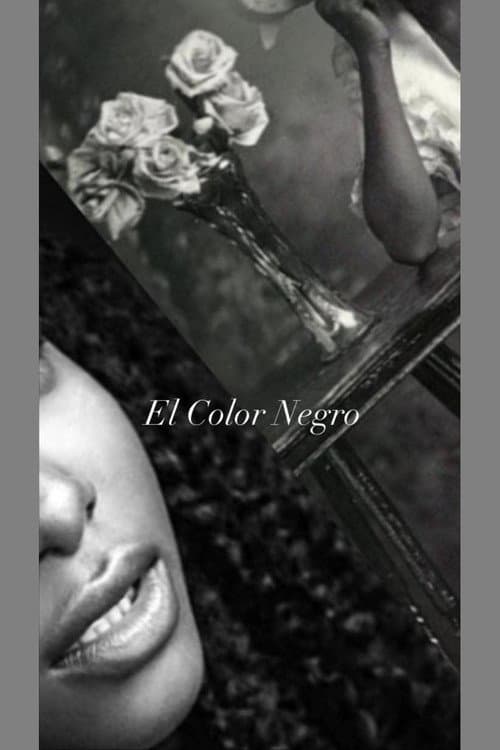 Poster for El Color Negro
