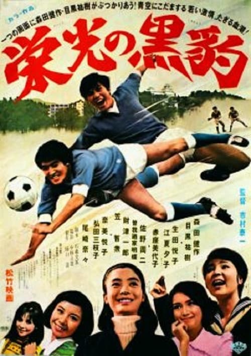 Poster for Fight for the Glory