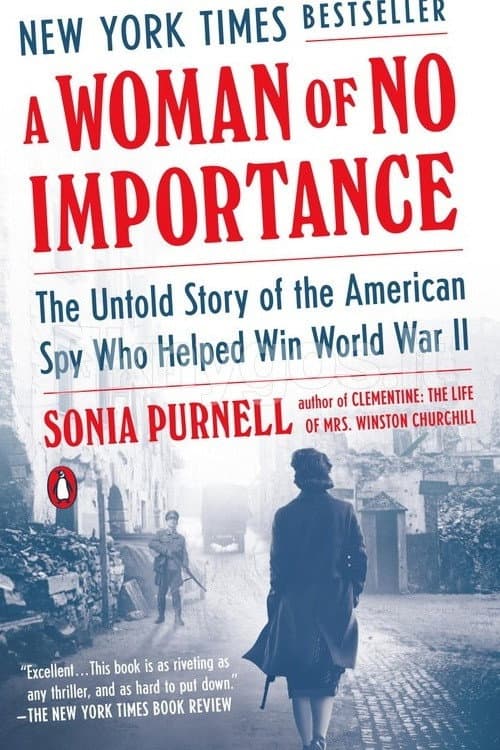Poster for A Woman of No Importance