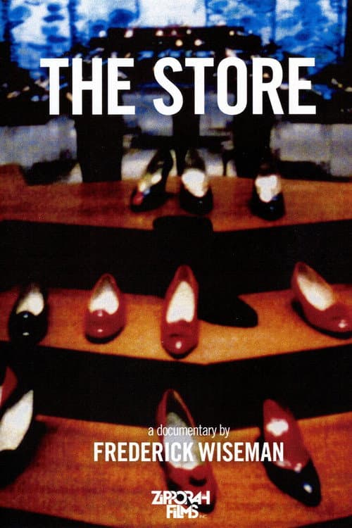 Poster for The Store