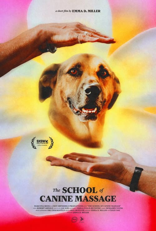 Постер до фільму «The School of Canine Massage»