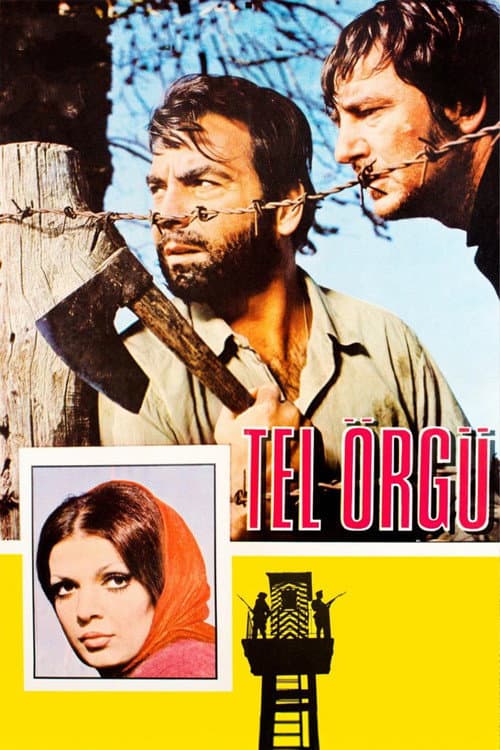 Poster for Tel Örgü