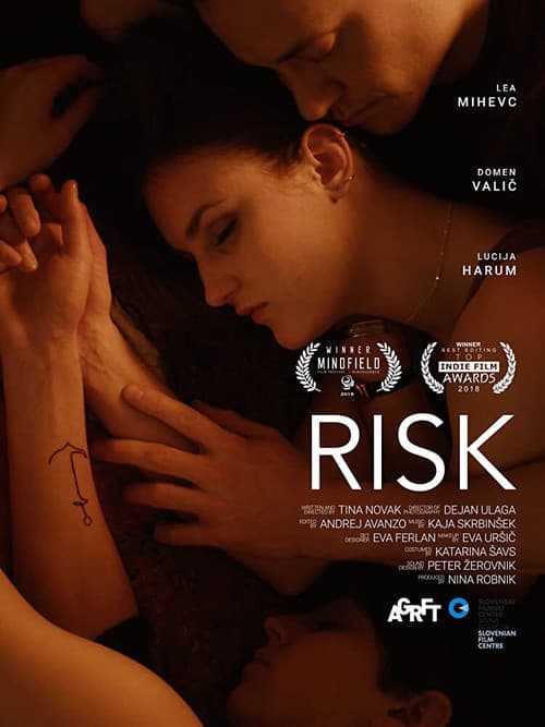 Poster for Risk