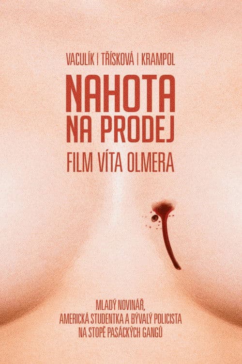 Poster for Nudity For Sale