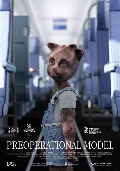 Poster for Preoperational Model