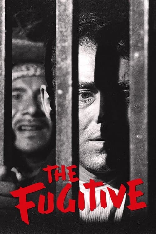 Poster for The Fugitive