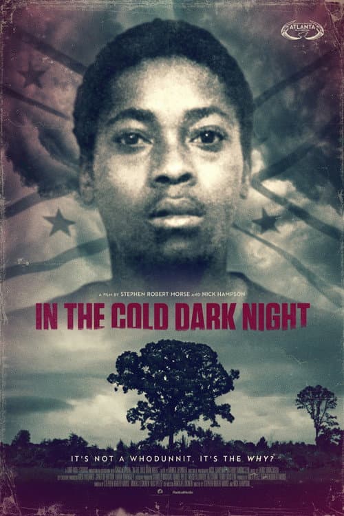 Poster for In The Cold Dark Night