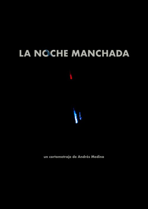 Poster for Stained Night