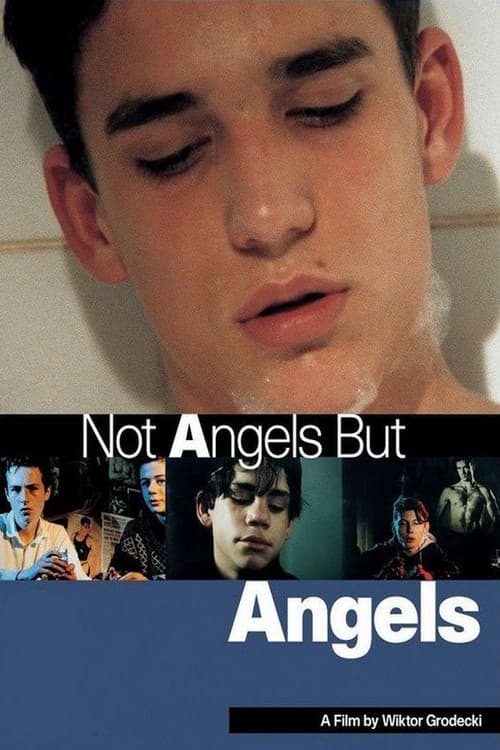 Poster for Not Angels But Angels