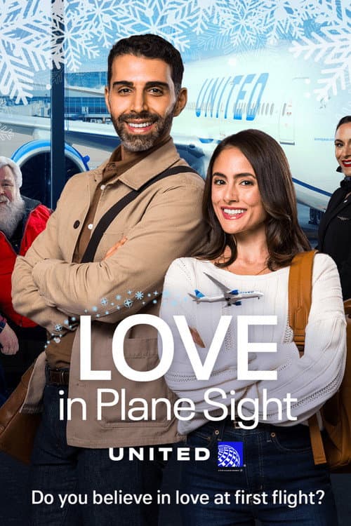 Poster for Love in Plane Sight