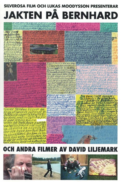 Poster for The Search for Bernhard