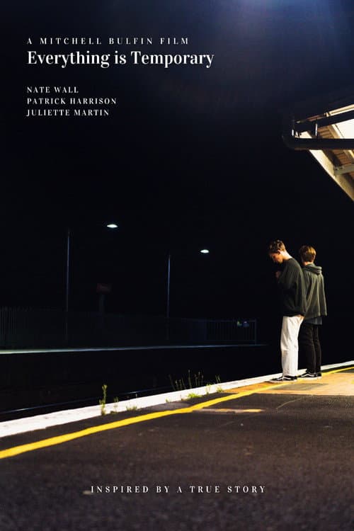 Poster for Everything is Temporary