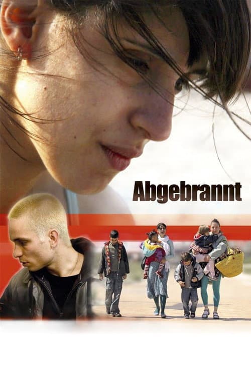Poster for Burnout