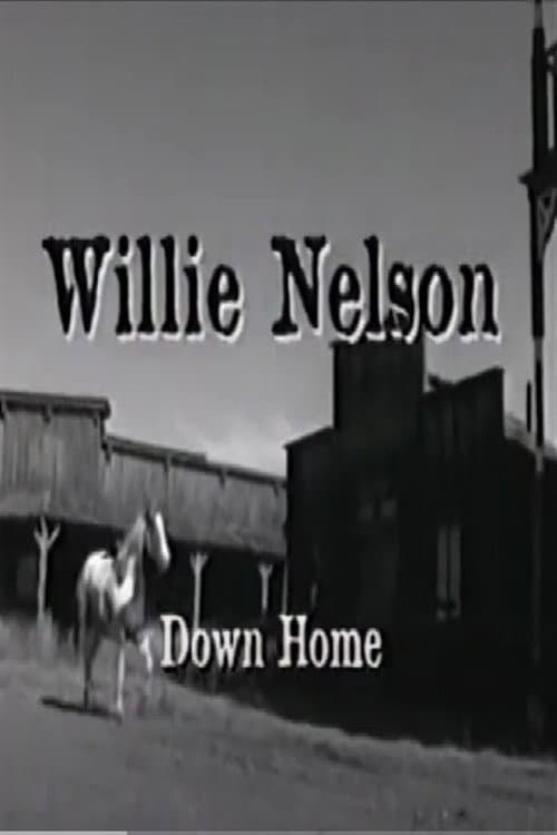 Poster for Willie Nelson: Down Home