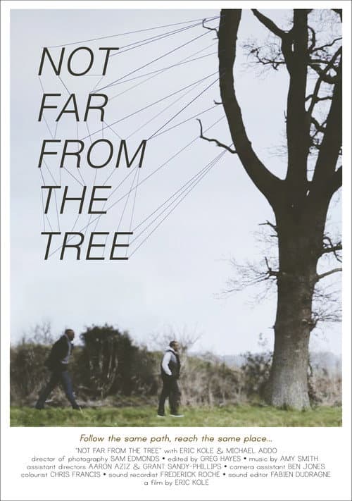 Poster for Not Far from the Tree
