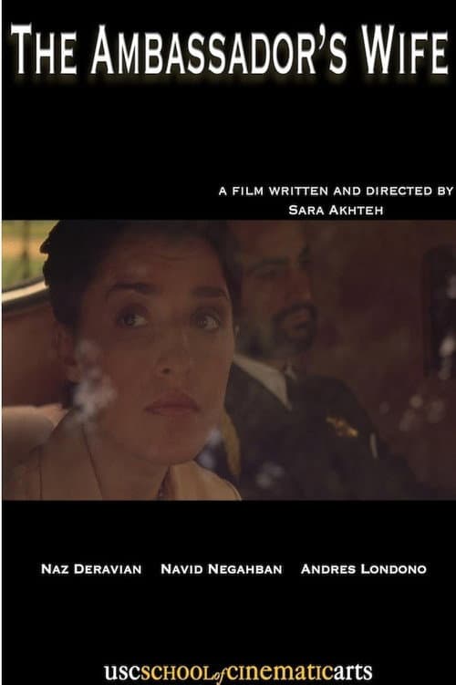 Poster for The Ambassador's Wife