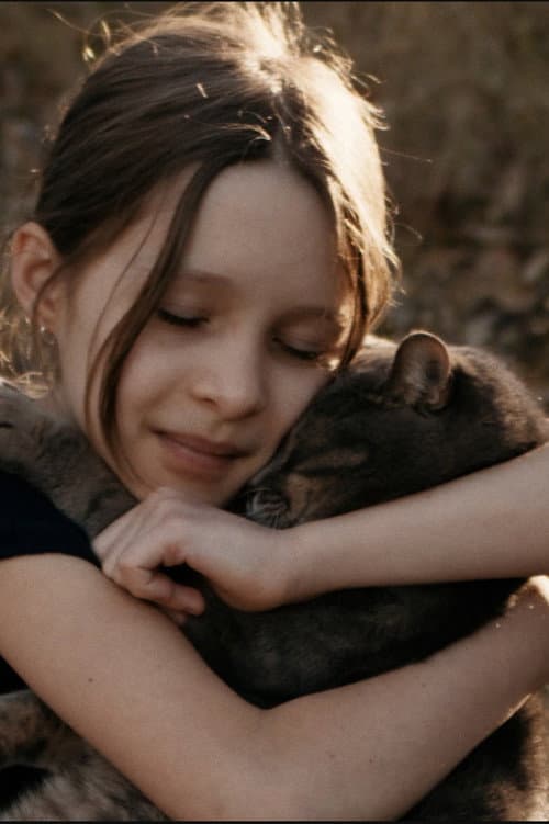 Poster for Save the Cat