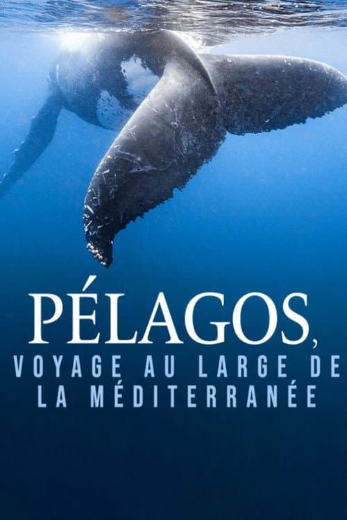 Poster for Pélagos, voyage au large de la Méditerranée