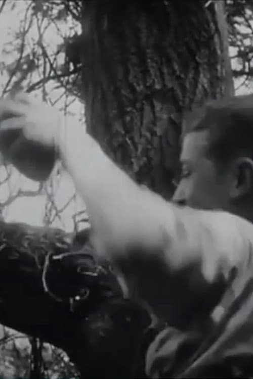 Poster for The Nest Robbers