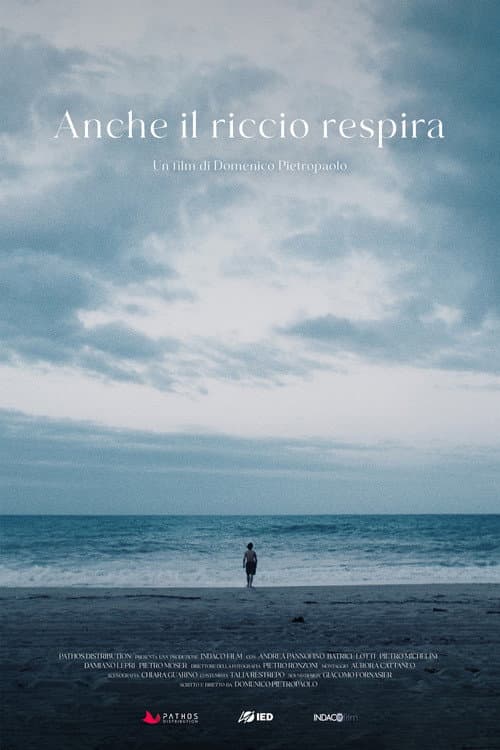 Poster for Anche il riccio respira