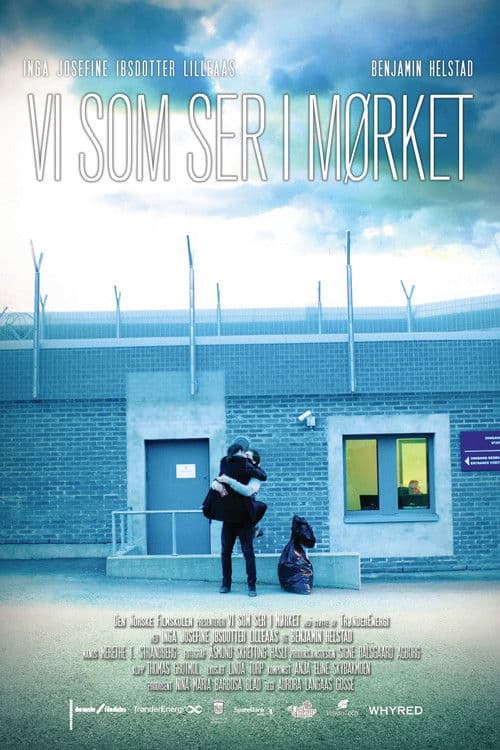 Poster for We See in the Dark