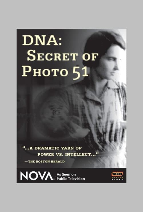 Poster for DNA: Secret of Photo 51