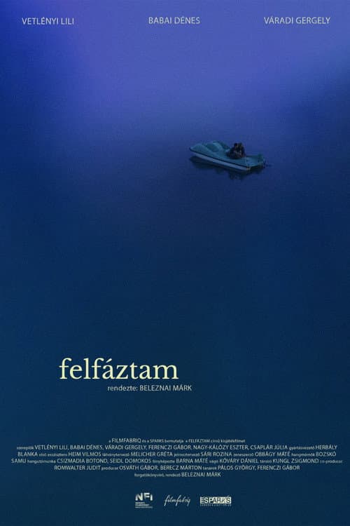 Poster for Summer Cold