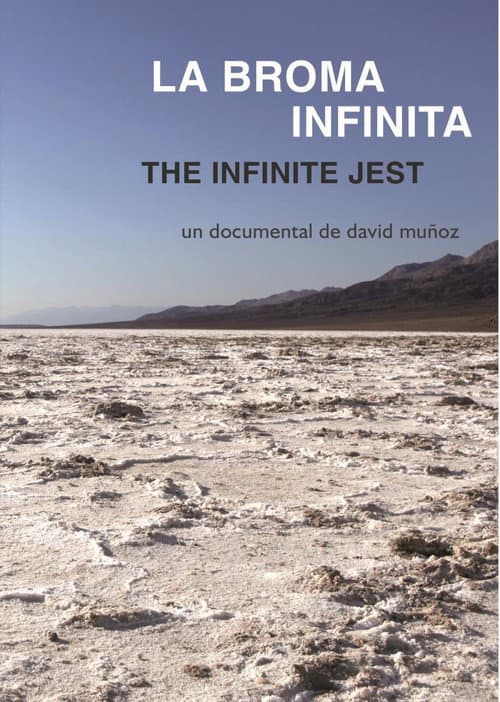 Poster for The Infinite Jest