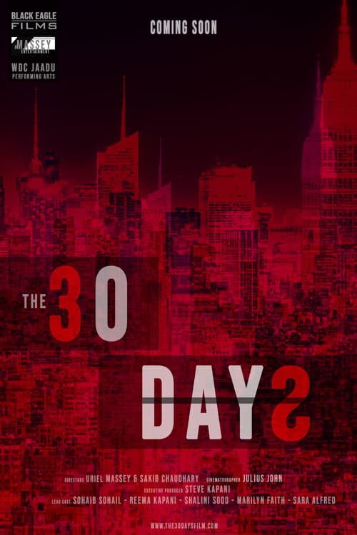 Poster for The 30 Days