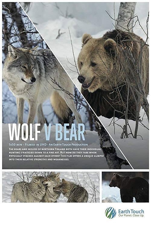 Poster for Wolf vs Bear