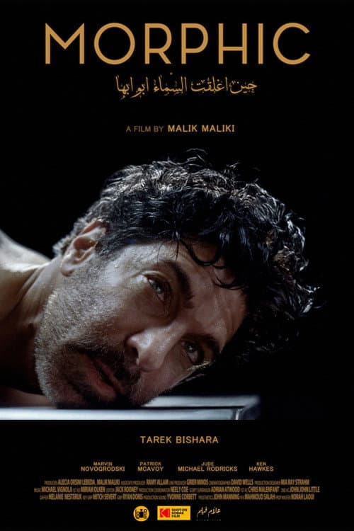 Poster for Morphic