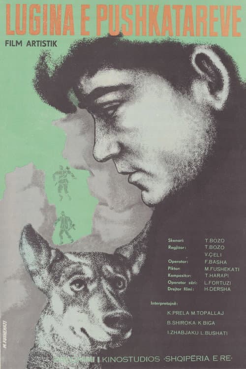 Poster for Valley of the Riflemen