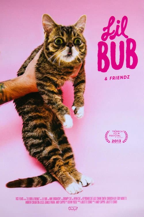 Poster for Lil Bub & Friendz