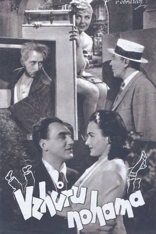 Poster for Vzhůru nohama