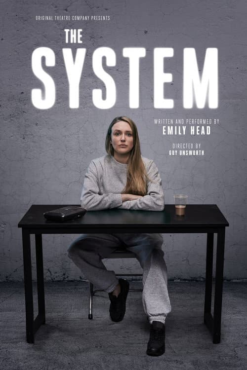 Poster for The System