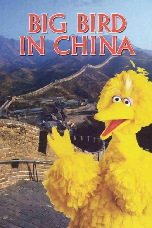 Poster for Big Bird in China