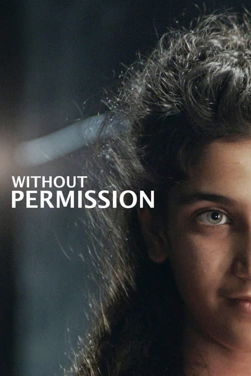 Poster for Without Permission