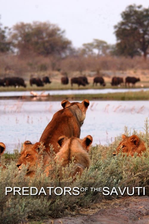 Poster for Predators of the Savuti