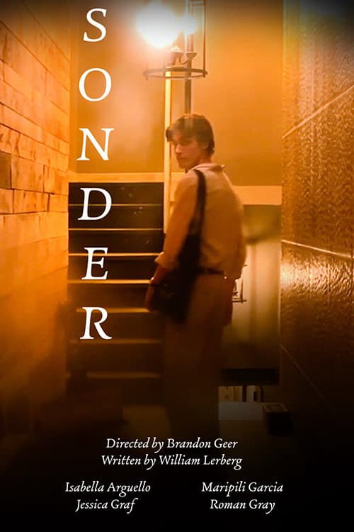 Poster for SONDER
