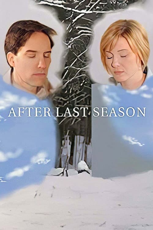 Poster for After Last Season